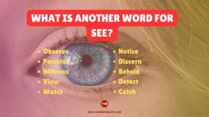 What is another word for See