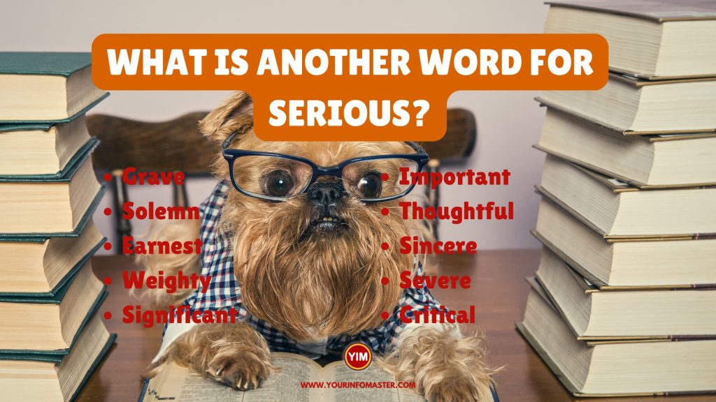 Another word for Serious, What is another, synonym word for Serious? Every  language spoke…