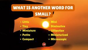 What is another word for Small