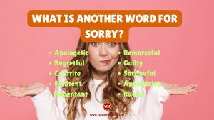 What is another word for Sorry