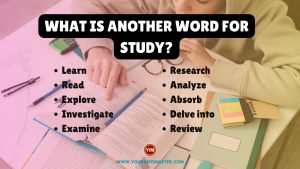 What is another word for Study