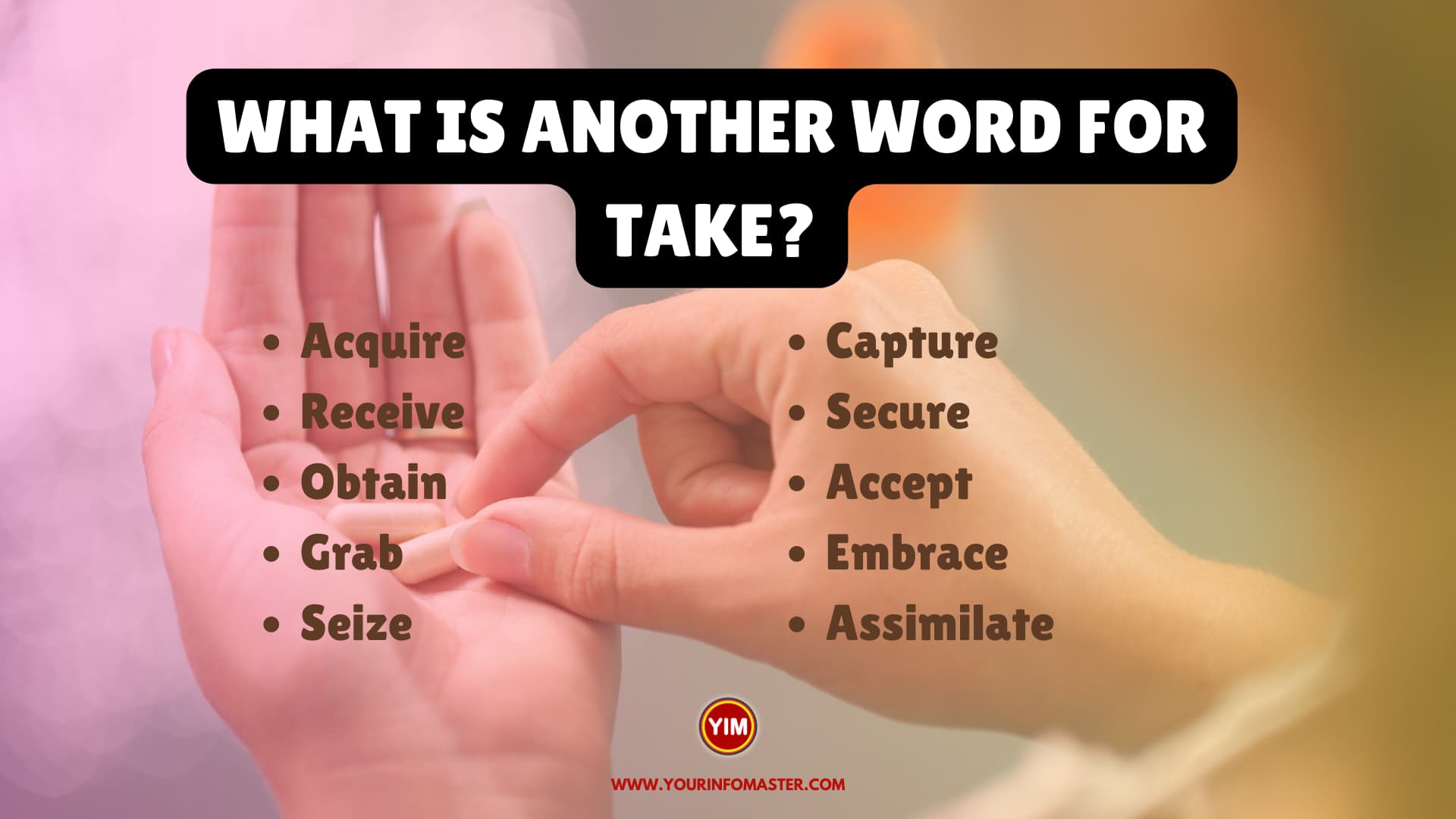 What is another word for Take