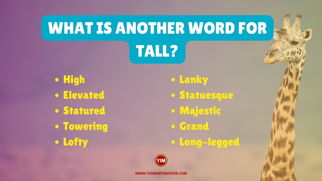 What is another word for Tall