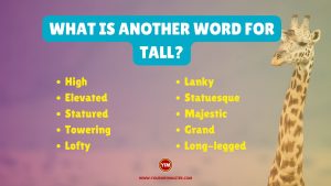 What is another word for Tall