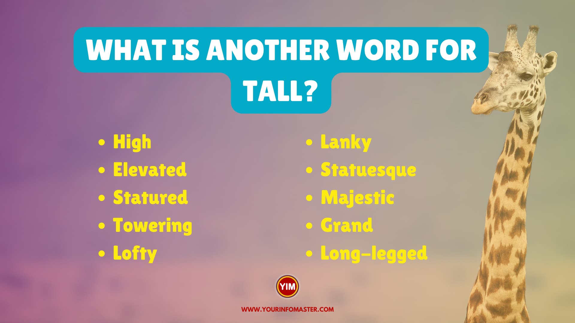 What is another word for Tall