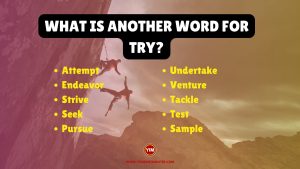 What is another word for Try