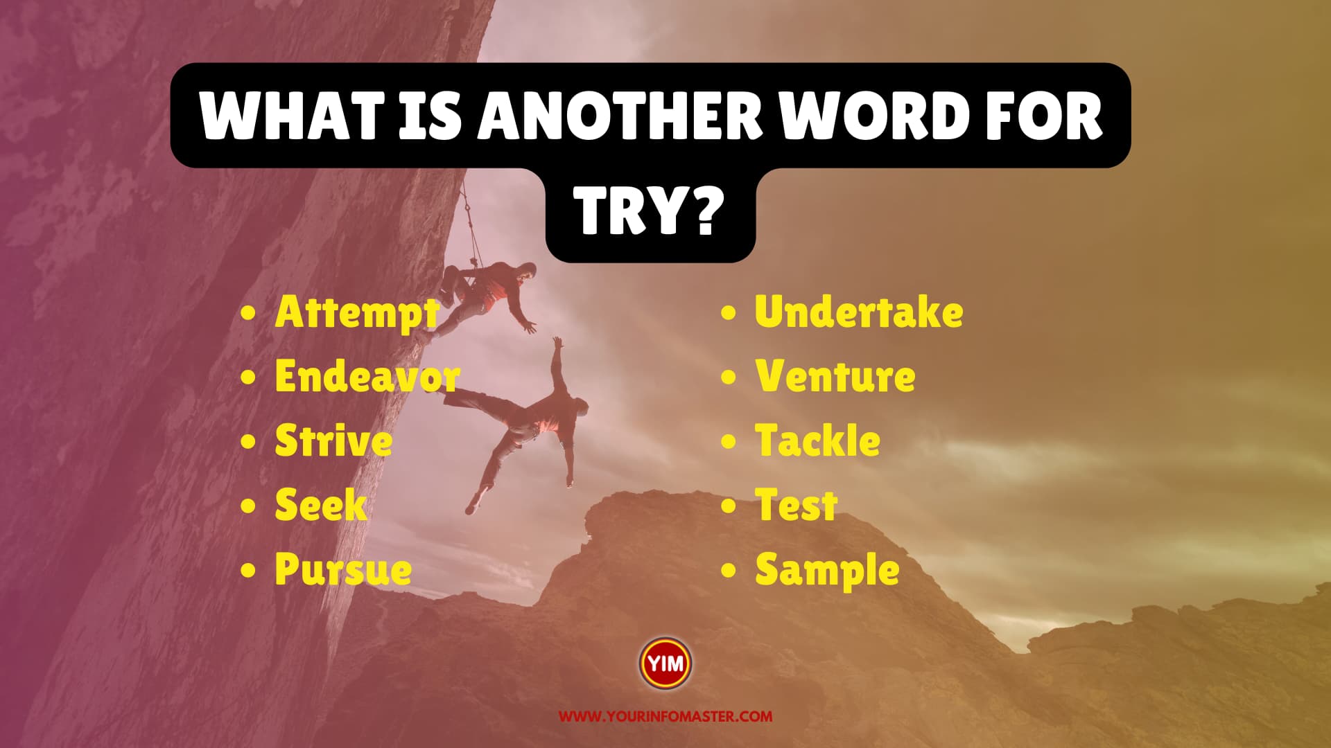 What is another word for Try