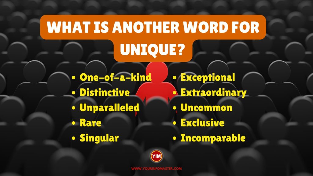 What is another word for Unique
