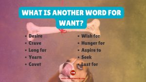 What is another word for Want