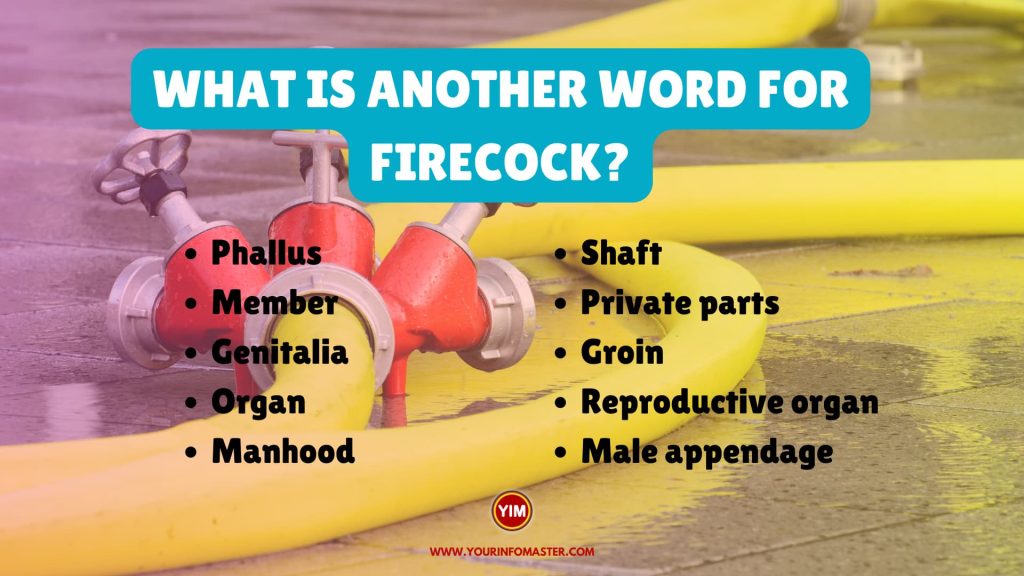 What is another word for firecock