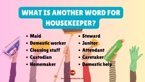 What is another word for housekeeper