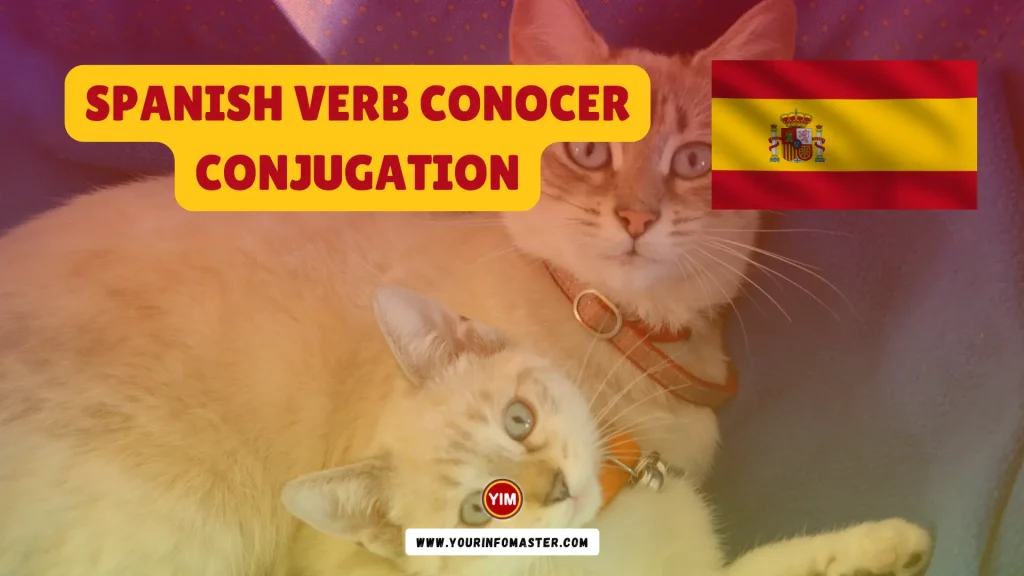 Conocer Conjugation