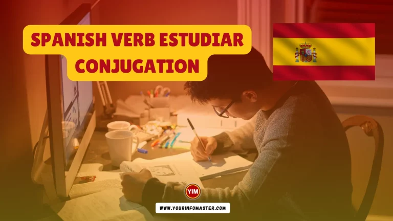 Estudiar Conjugation