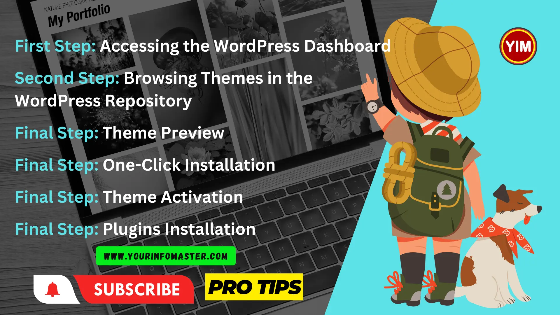 How to Install WordPress Theme in your Website With One Click 1