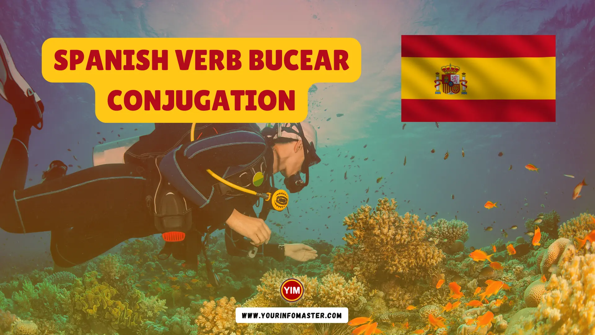 Spanish Verb Bucear Conjugation