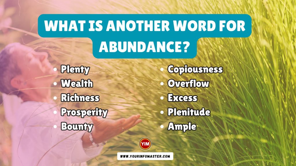 What is another word for Abundance