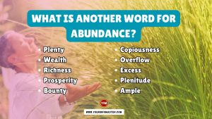 What is another word for Abundance