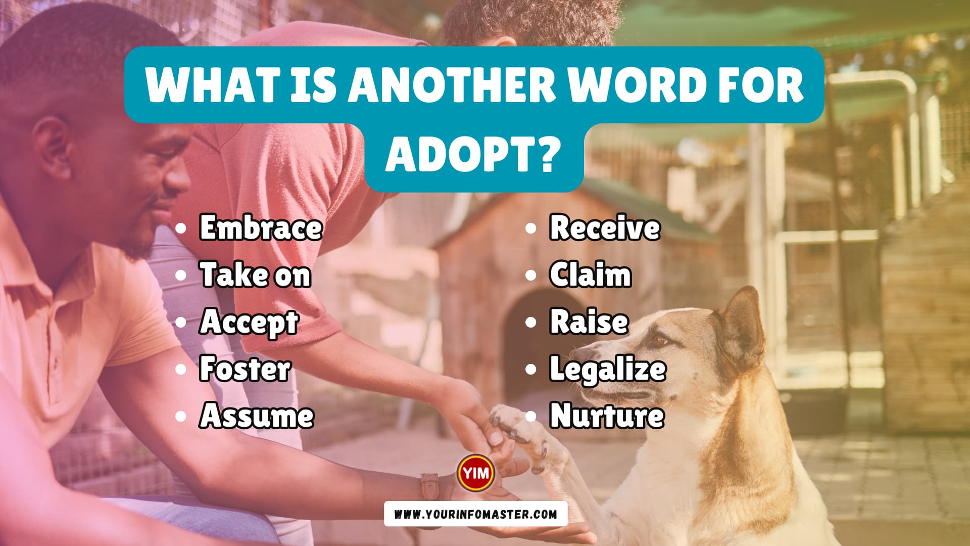 What is another word for Adopt