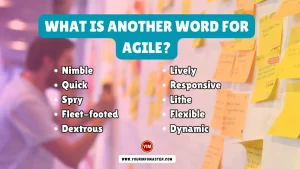 What is another word for Agile