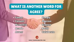 What is another word for Agree