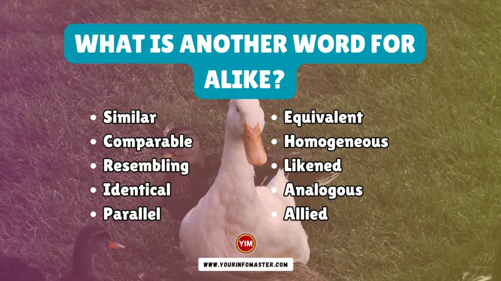 What is another word for Alike