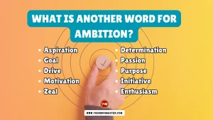 What is another word for Ambition