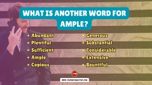 What is another word for Ample