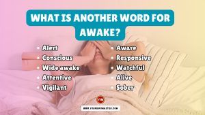 What is another word for Awake