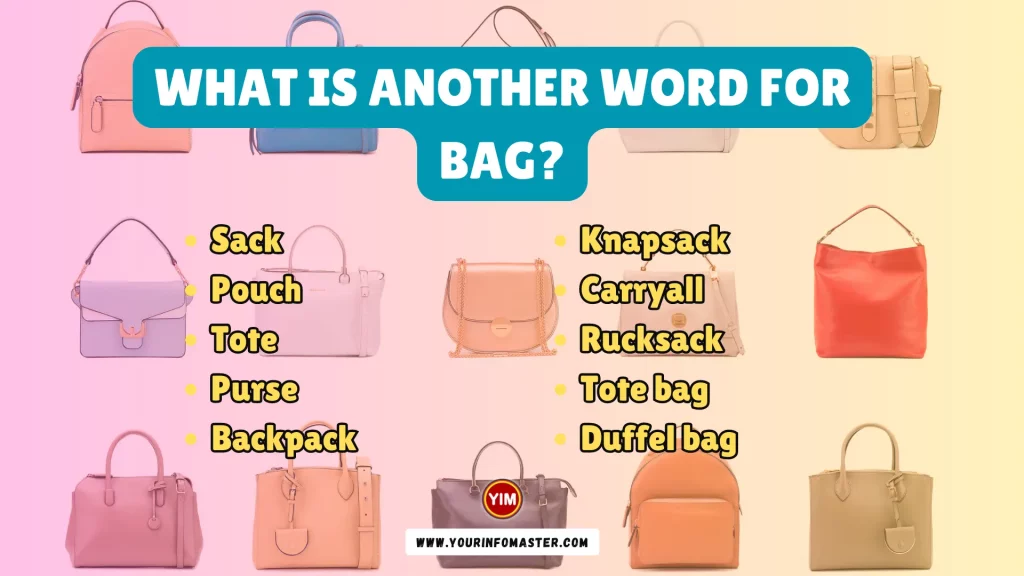 What is another word for Bag