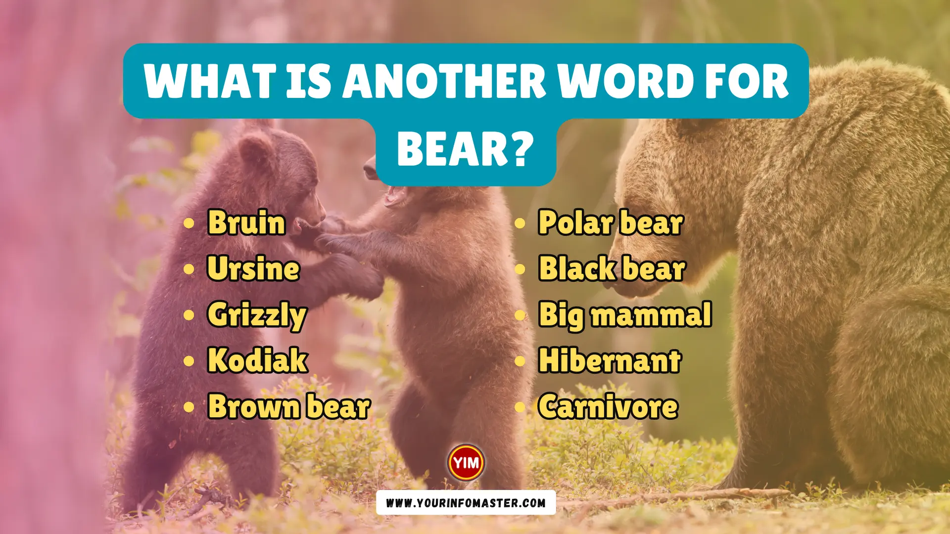 What is another word for Bear