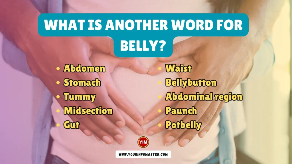 What is another word for Belly