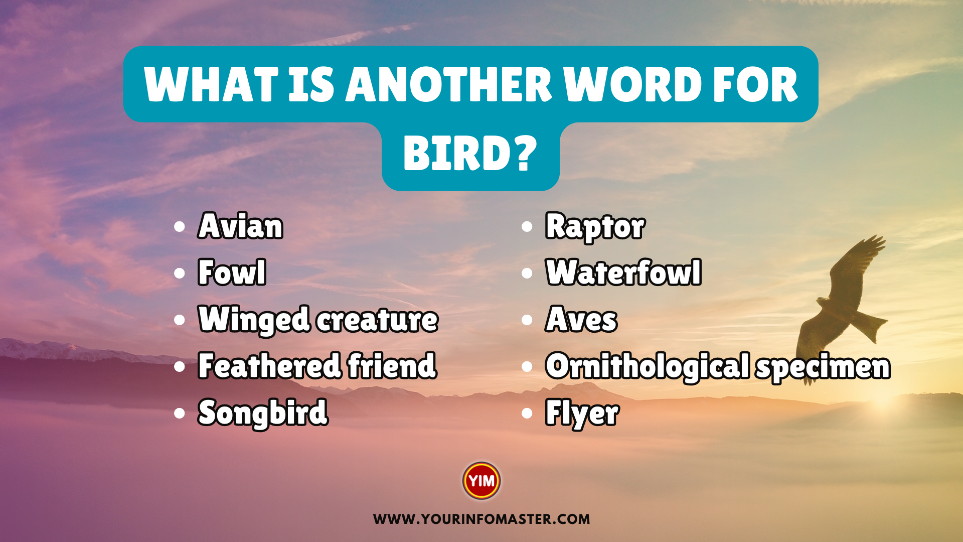 What is another word for Bird (1)
