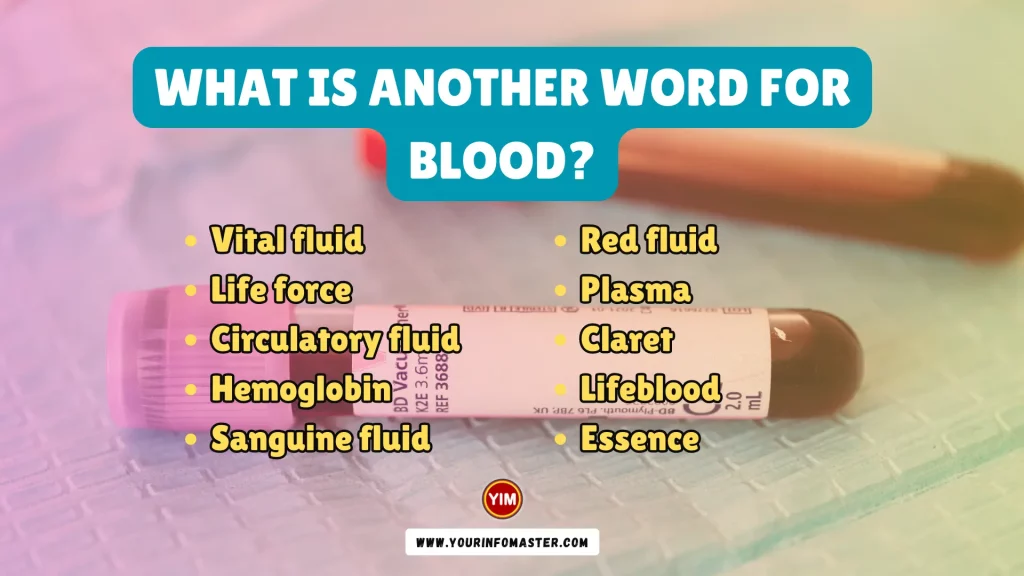 What is another word for Blood