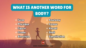 What is another word for Body