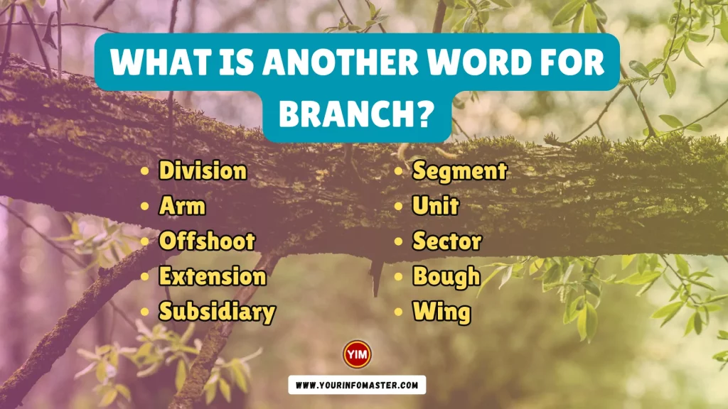 What is another word for Branch