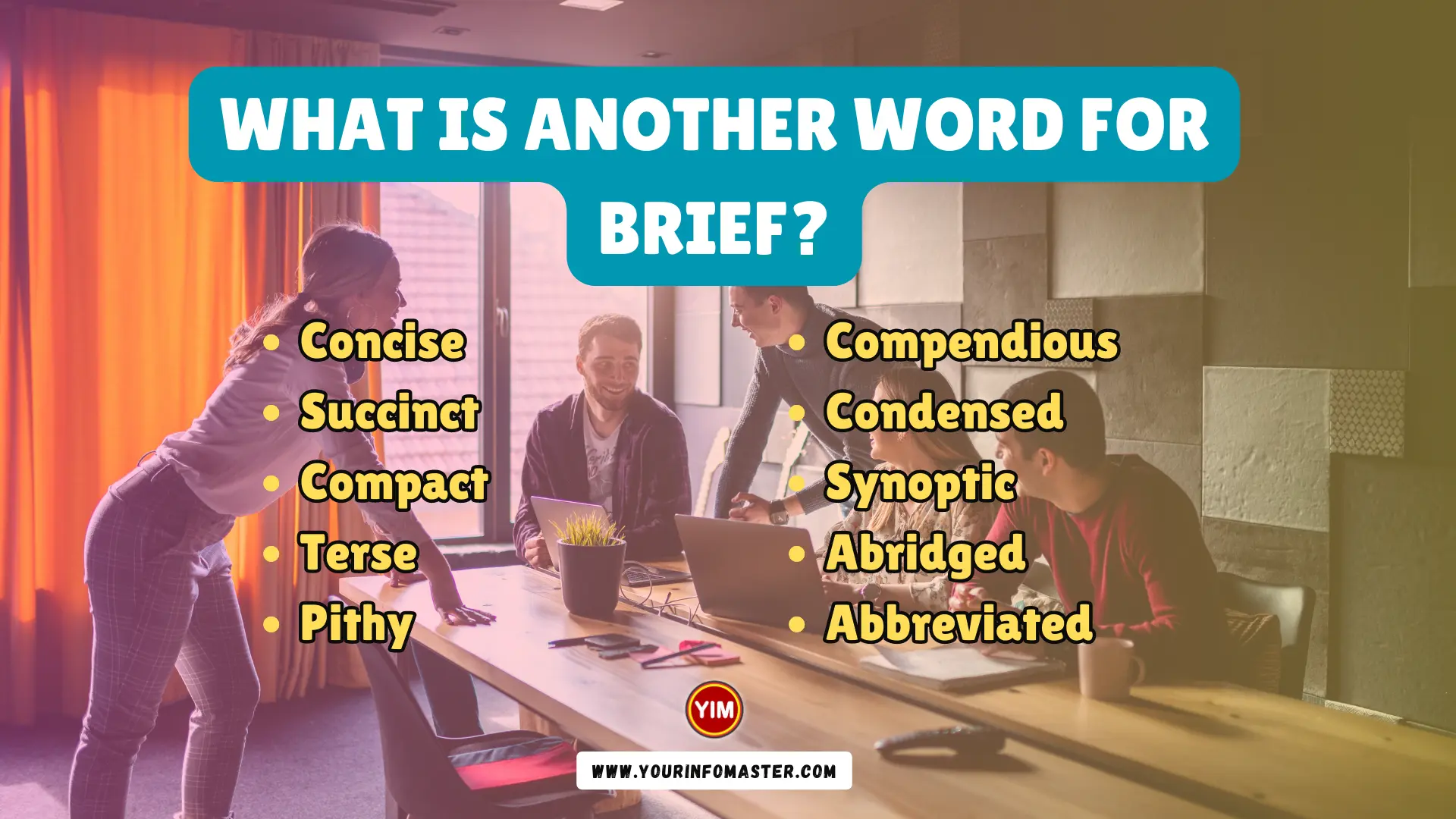 What is another word for Brief