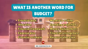 What is another word for Budget
