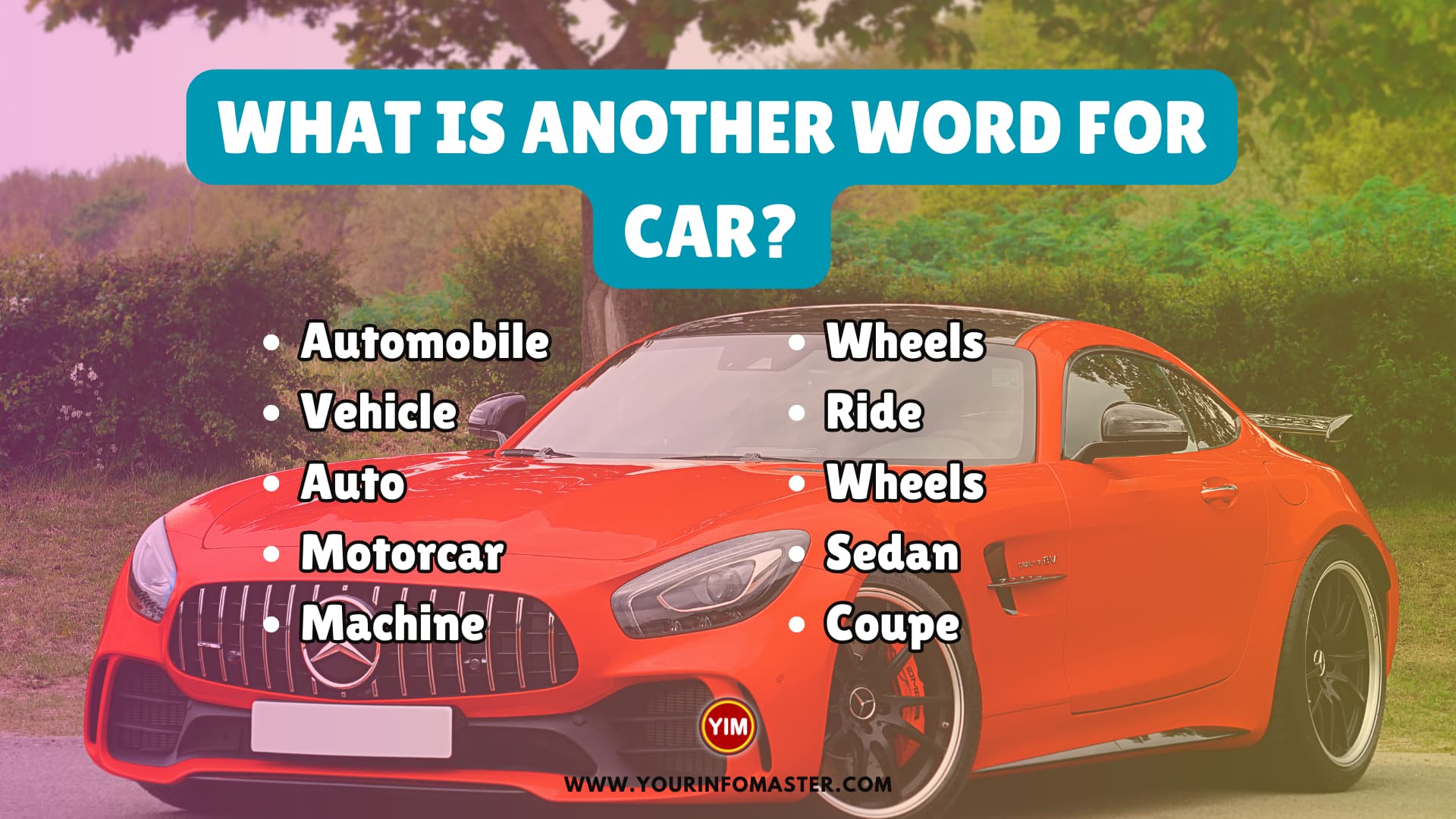 What is another word for Car