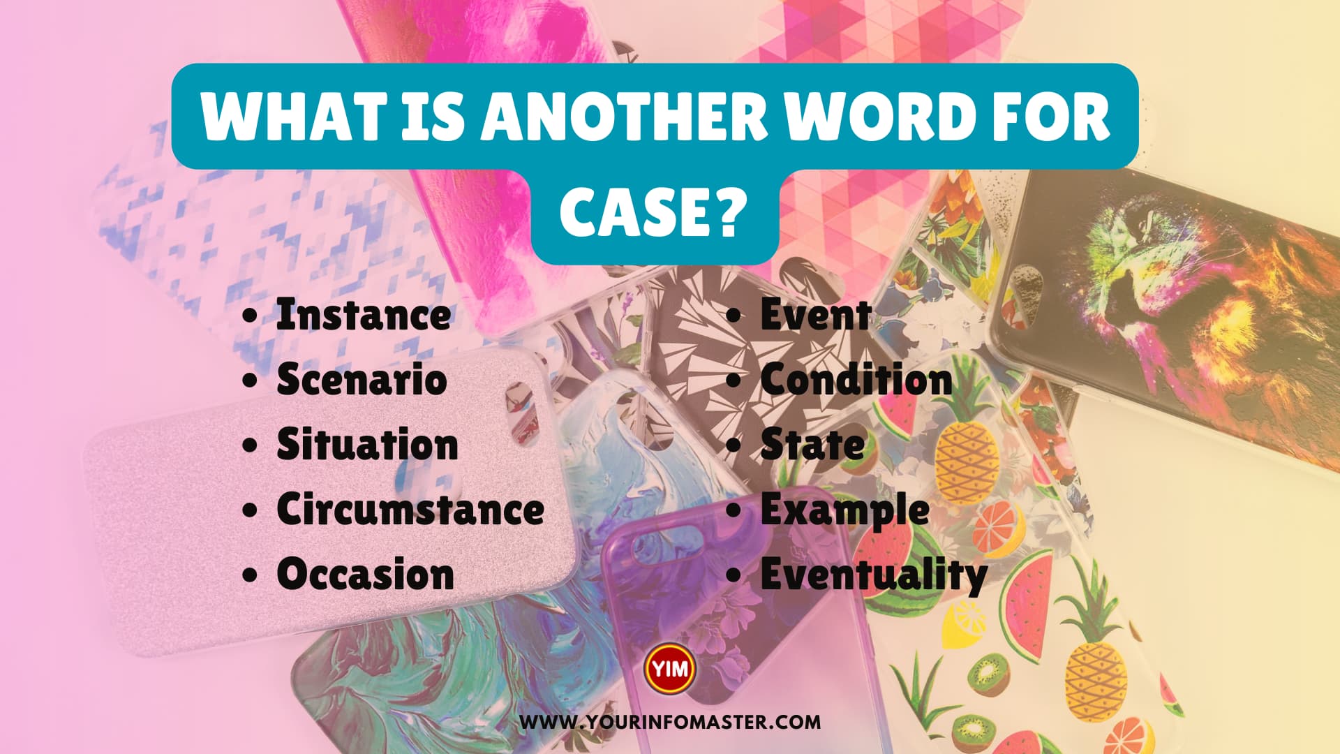 What is another word for Case