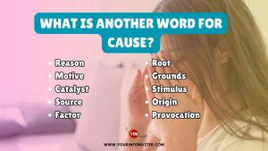 What is another word for Cause