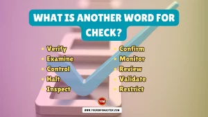 What is another word for Check