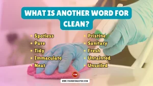 What is another word for Clean