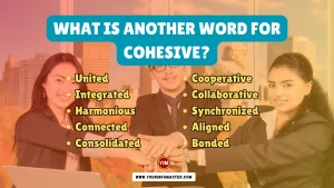 What is another word for Cohesive