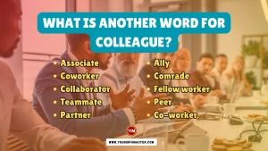 What is another word for Colleague