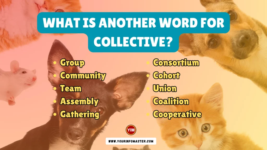 What is another word for Collective