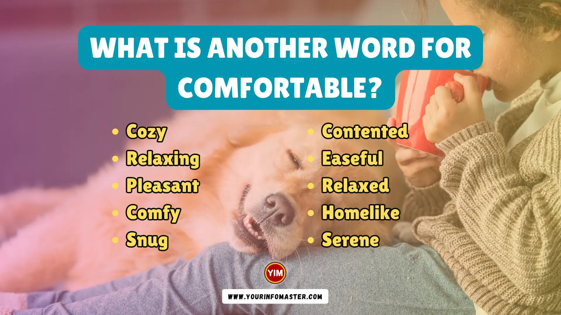 What is another word for Comfortable