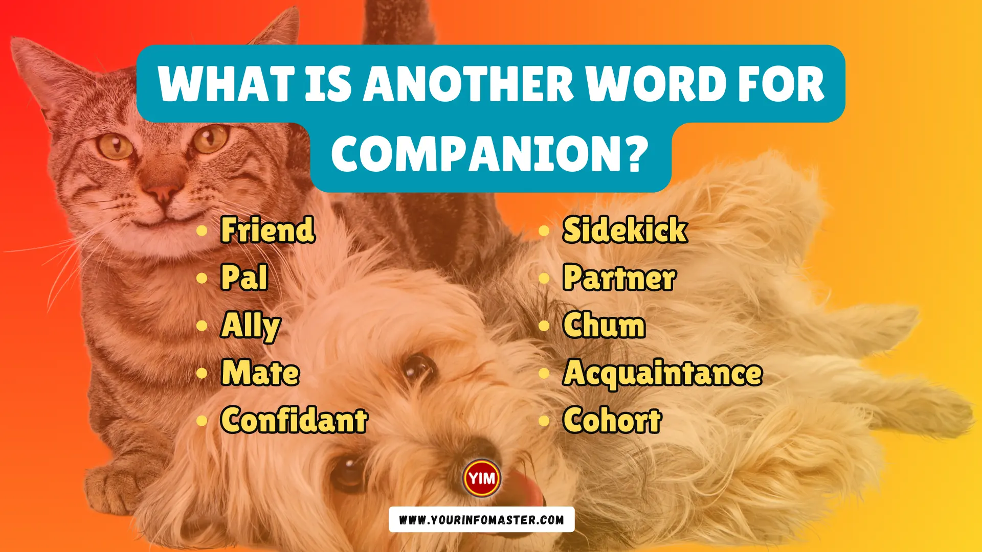 What is another word for Companion