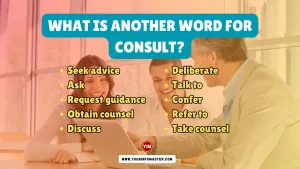 What is another word for Consult