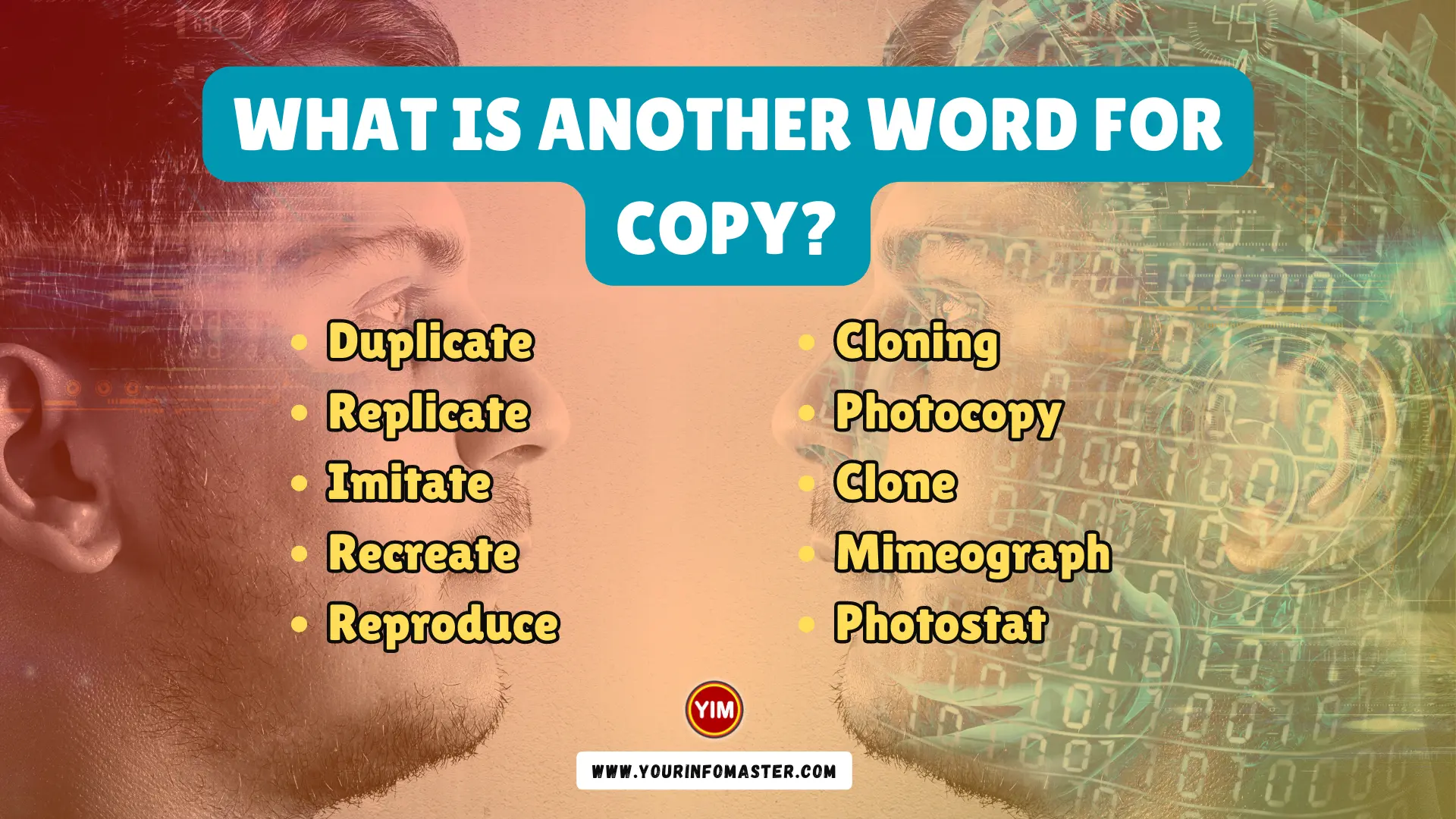 What is another word for Copy