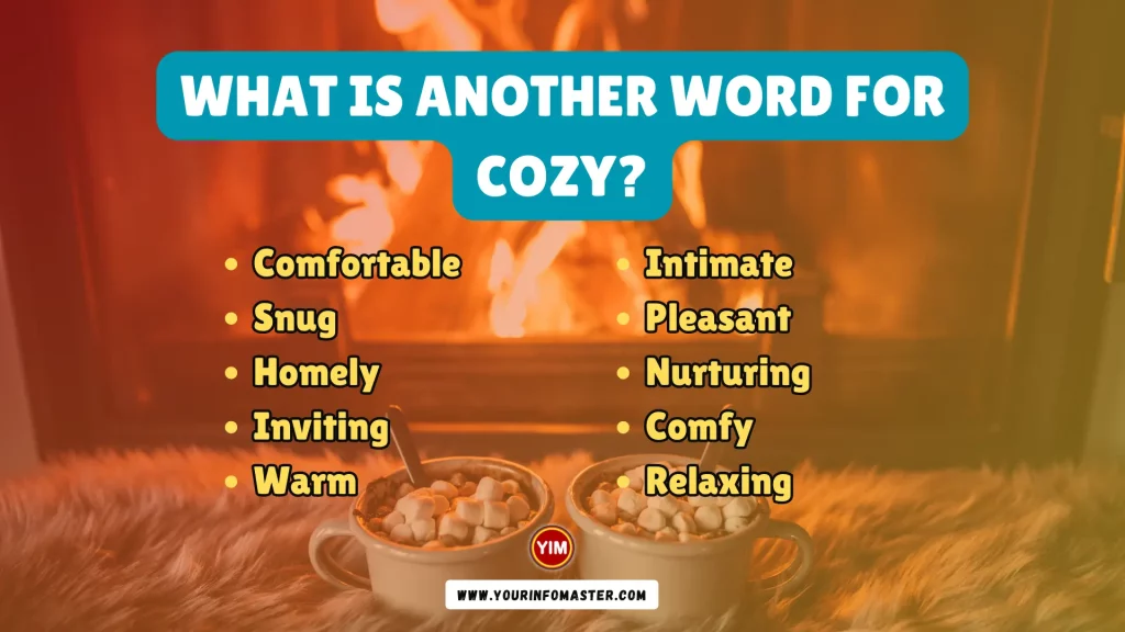 What is another word for Cozy